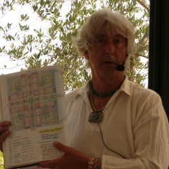 Red Magnetic Dragon - 441 Get It Down