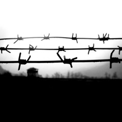 Al*bu - Prisoner
