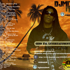 Dancehall Impact year mix 2011