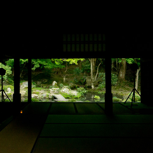 Stream [LIVE]        @    Marihiko Hara at Honen-In 