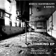 Moritz Ochsenbauer & Danito - Lionking (Sebastian Phillip Blubber Beast RMX) (Gua Camole) - Snippet