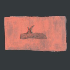 Manic青年 X 有病Sheep 2011 live 西69公路 Highway West 69