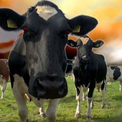 SunshineOnDoomsday - Space Surfer (waves of chrome mix)