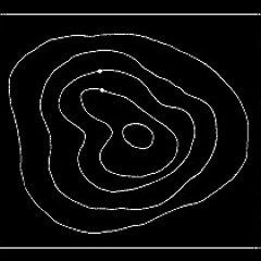 walk counterclockwise seven times