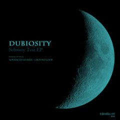 Translucent032 04. Dubiosity - Pornographic Priestess (Ground Loop Dub Remix)VER2 1