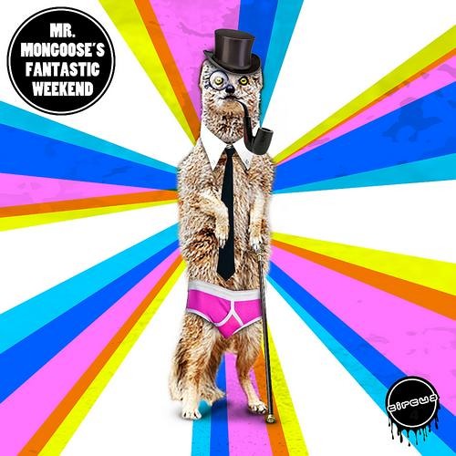 Brown & Gammon - How I Feel (Circus Records)