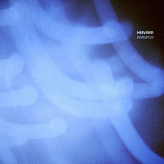 RIP - Disrupted EP