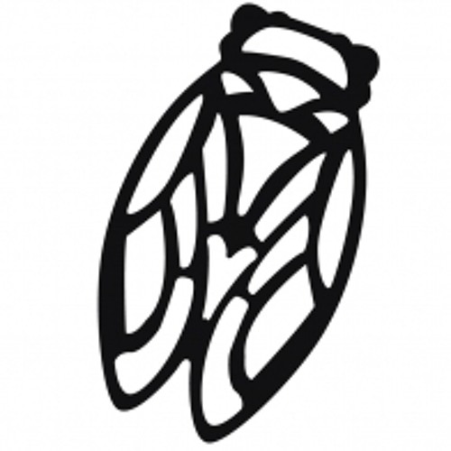 Cicada