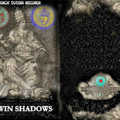 TWIN SHADOWS - Twin Shadows