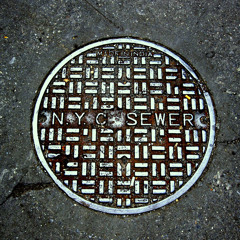 Ron-E / Maramice - Purim