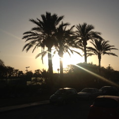 Dennis Feldmann - My Ibiza Soundtrack - August 2012