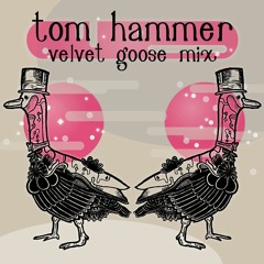 Tom Hammer - Velvet Goose Mix