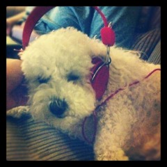 Thought I Died And Gone To Heaven