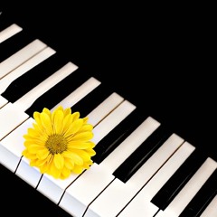 ေရႊလည္တိုင္  -  ႏုႏု သီဆိုသည္