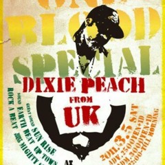Signt The Move - Dixie Peach (Dub Plate / Mighty Spice)