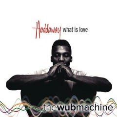 What Is Love (Single Mix) (Wub Machine Remix)