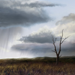 Blue Skies Rainy days