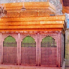 كربلاء-رغم الجراح-علي حمادي