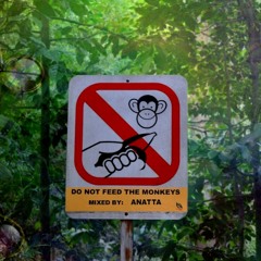 Anatta - Do Not Feed the Monkeys