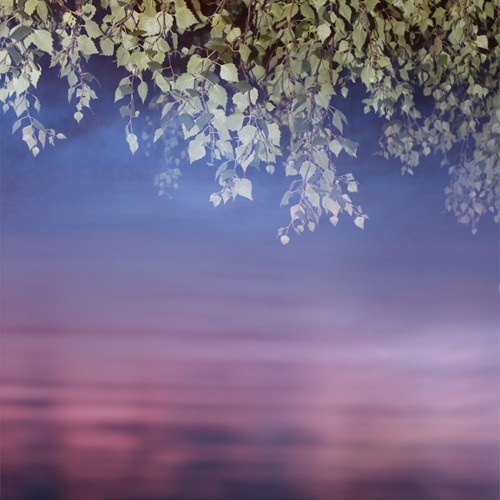 Anders Ilar - Traveller