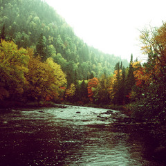 It's Nice To Be Alive (Ball Park Music Cover)