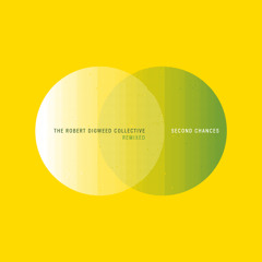 Robert Digweed Collective - Red Clay (Ackryte Remix)