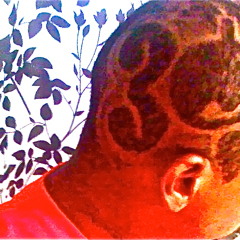 Not Alone (BZB feat. Ms.Anonymous & $ R-Money $)