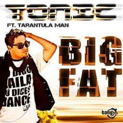 TON!C feat. Tarantula Man – Big Fat (DJ Mentarey Remix)