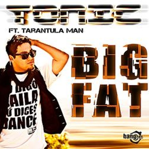 TON!C feat. Tarantula Man – Big Fat (DJ Mentarey Remix)