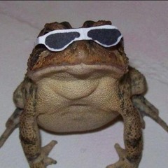 Rolling Frogs Go Crazy (Axel F x Starfox)