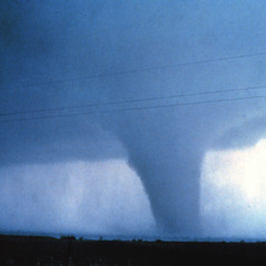 THE PANCAKES   "TORNADO" !!!   live at Goldmark`s Stuttgart