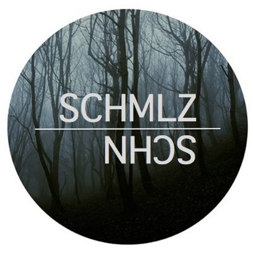 Stream SCHMLZ & SCHN for Radio "mephisto 97.6" (11/09/12) by Loï Brasier |  Listen online for free on SoundCloud