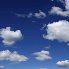 Nothing Can Bring Me Down (with Steve Collom)