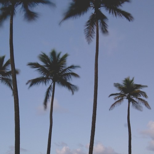 Christopher Carr - Ambient (Original Mix)