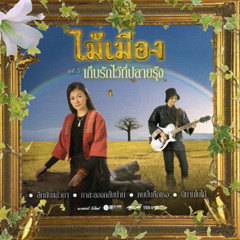ไม้เมือง - นิทานใบไม้