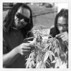 TSUNAMI-Instramental