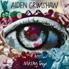 Aiden Grimshaw - Nothing At All (Tough Love Official Remix)