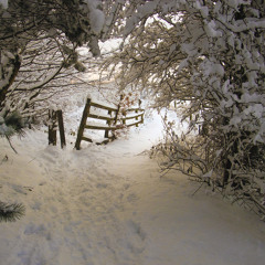 Snowfall (Piano Song)