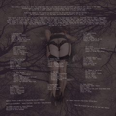 02 failure cover small crimes demo