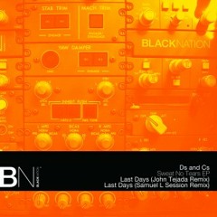 Ds and Cs - Last Days (Samuel L Sessions Remix) (BNR610)