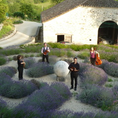 Olivia De Prato - Mura live excerpt