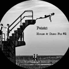 Pelski - House & Disco Fix #2