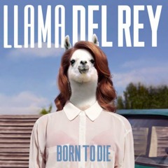 Born To Die (Lana Del Rey Cover)