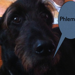 Dirty Deeds Done Dirt Cheep (remix)