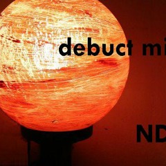 NDJS DEBUCT MIX (PROG/ELECTRO/HOUSE&DUBSTEP) tomorrowland style 2012