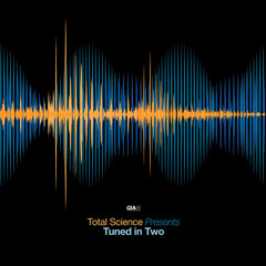 TOTAL SCIENCE & S.P.Y ; PAST LIVES [feat KEVIN KING] LENZMAN REMIX (CIAUKLP001)