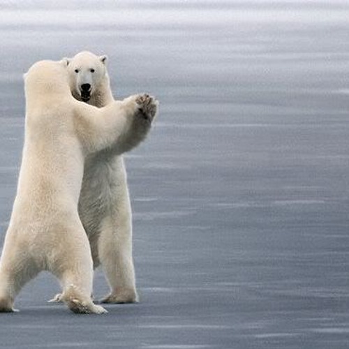 The Music of Sounds (feat. The Dyson)