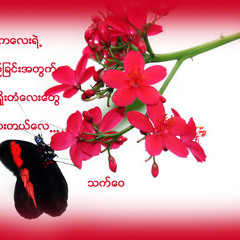 ေမတၱာေစကၽြန္-စုိးစႏၵာထြန္း