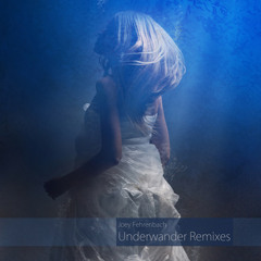 Joey Fehrenbach - Underwander (Tripswitch remix)