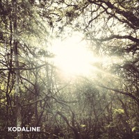 Kodaline - All I Want (Everything Everything Remix)